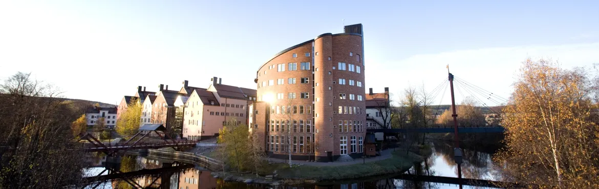 Mittuniversitetet