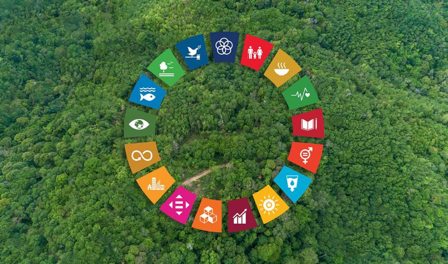 SDG